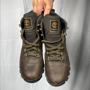 Timberland Men's Brown Hiking Boots